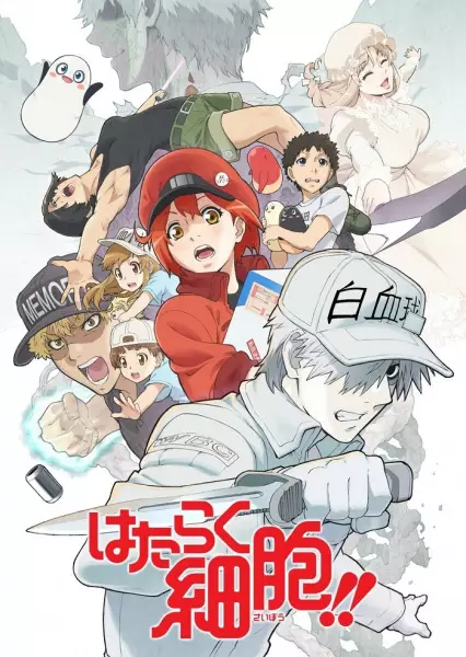 Hataraku Saibou Season 2