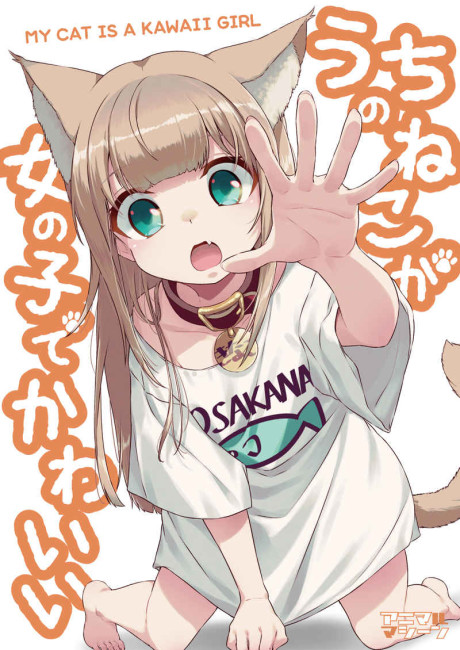 Uchi ni neko ga yattekita