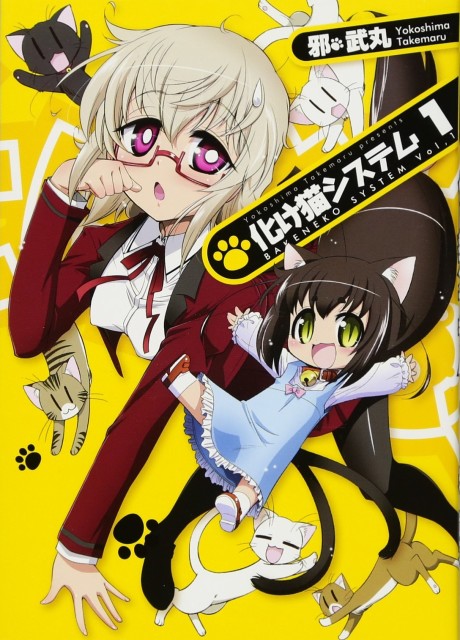 Bakeneko System